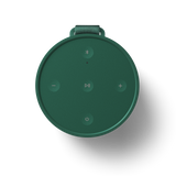 Beoplay Explore Green