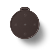 Beoplay Explore Chestnut